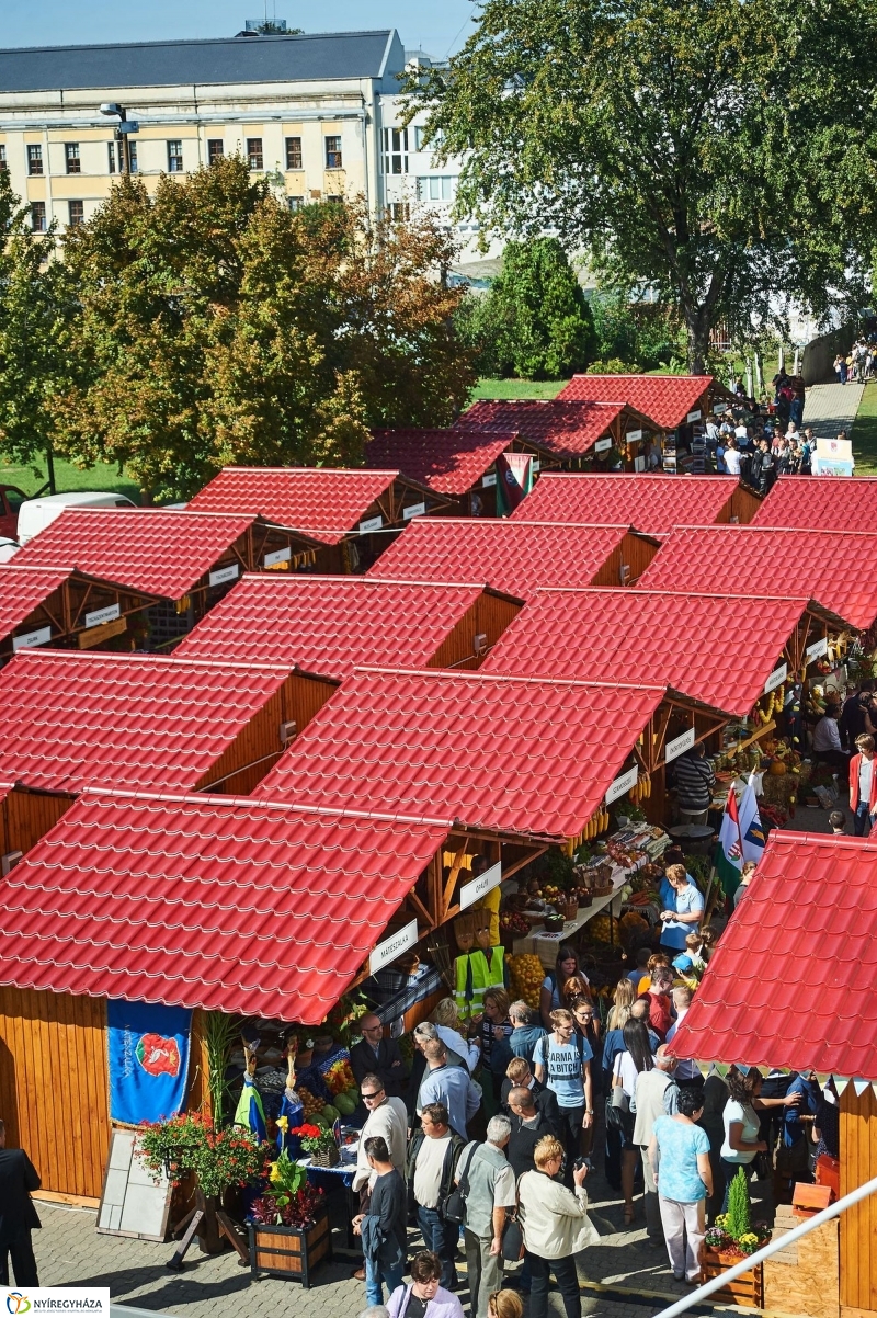 Közfoglalkoztatási Kiállítás 2017 - fotó Szarka Lajos