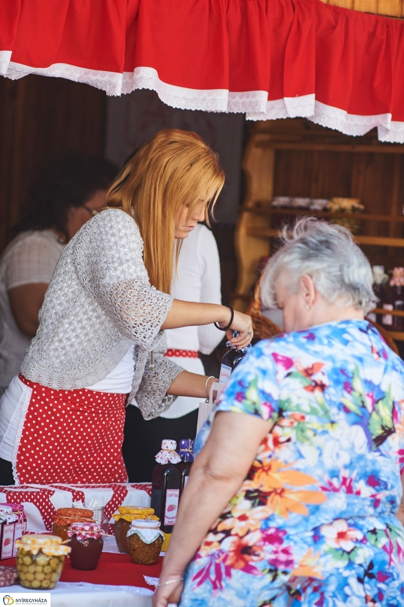 Közfoglalkoztatási Kiállítás 2017 - fotó Szarka Lajos
