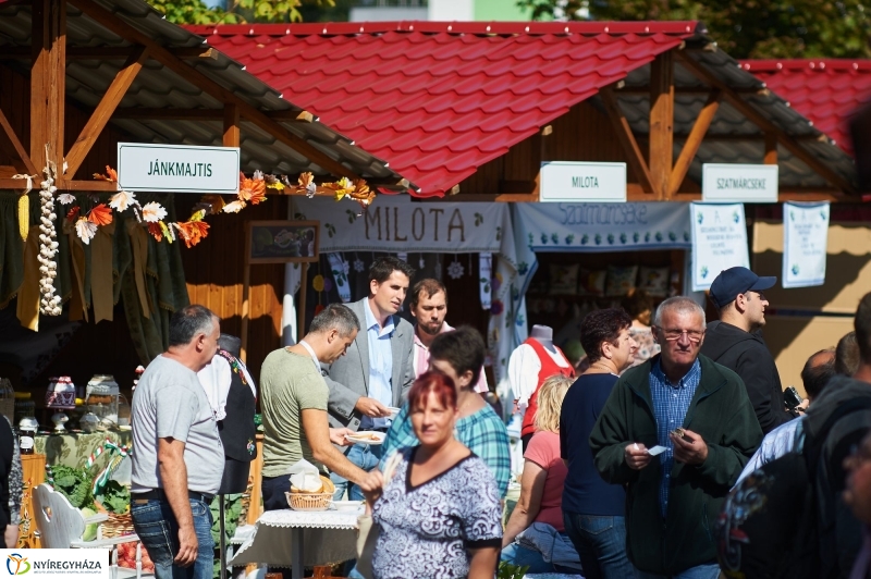 Közfoglalkoztatási Kiállítás 2017 - fotó Szarka Lajos