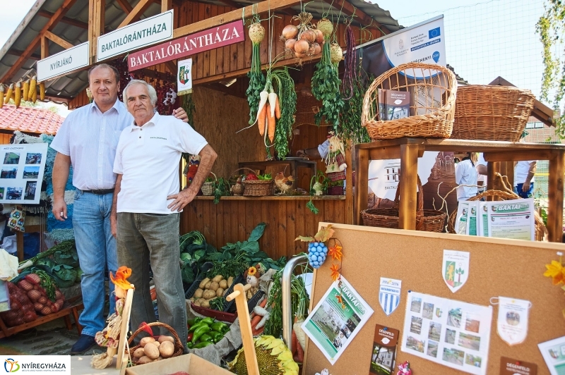 Közfoglalkoztatási Kiállítás 2017 - fotó Szarka Lajos