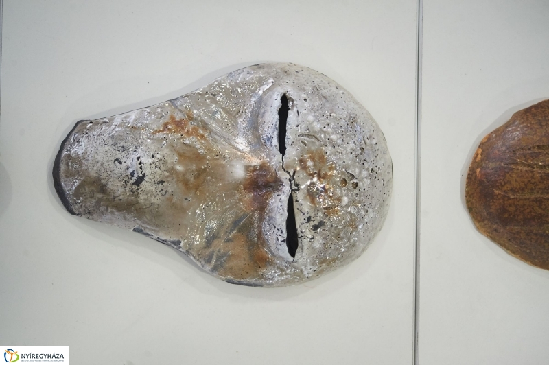 Őszi Tárlat 2017 - fotó Szarka Lajos