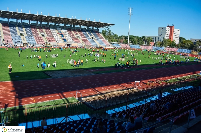 Ovifoci a stadionban - fotó Szarka Lajos
