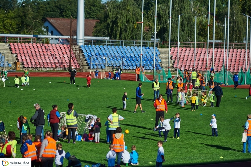 Ovifoci a stadionban - fotó Szarka Lajos
