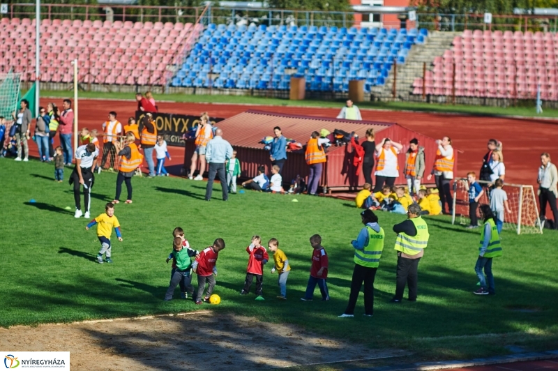 Ovifoci a stadionban - fotó Szarka Lajos