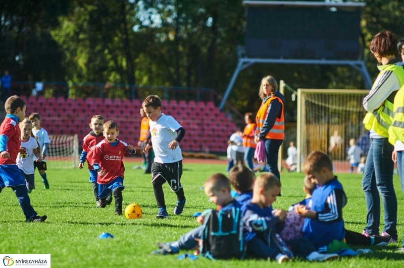 Ovifoci a stadionban - fotó Szarka Lajos
