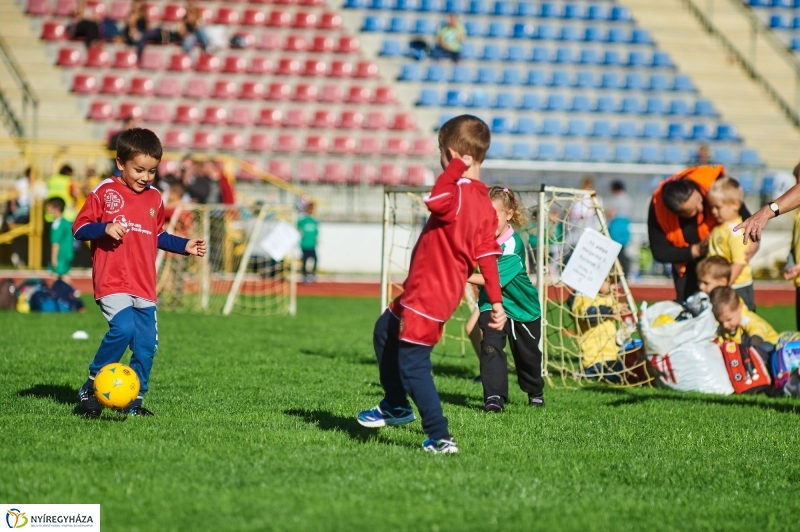 Ovifoci a stadionban - fotó Szarka Lajos
