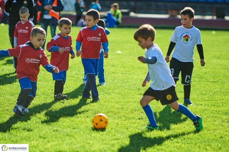 Ovifoci a stadionban - fotó Szarka Lajos