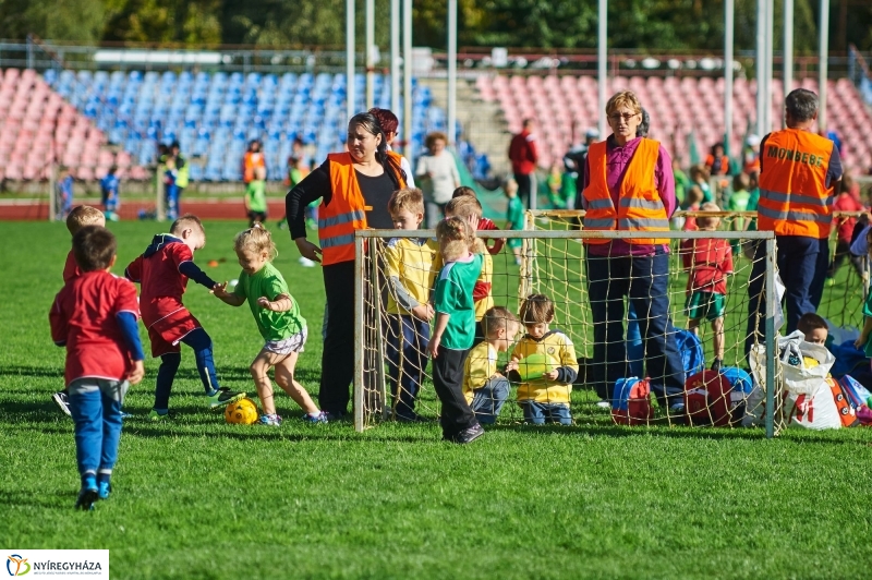 Ovifoci a stadionban - fotó Szarka Lajos