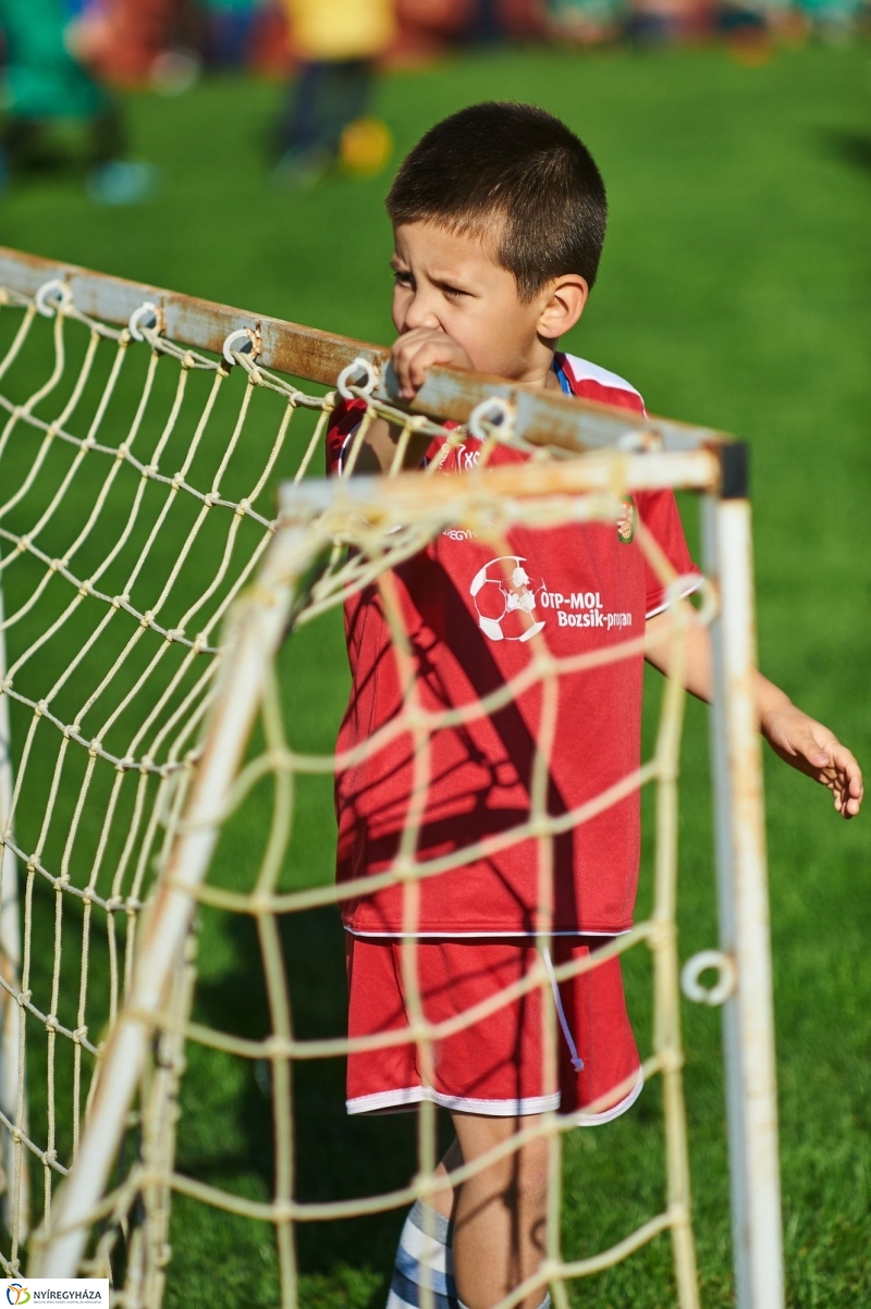 Ovifoci a stadionban - fotó Szarka Lajos