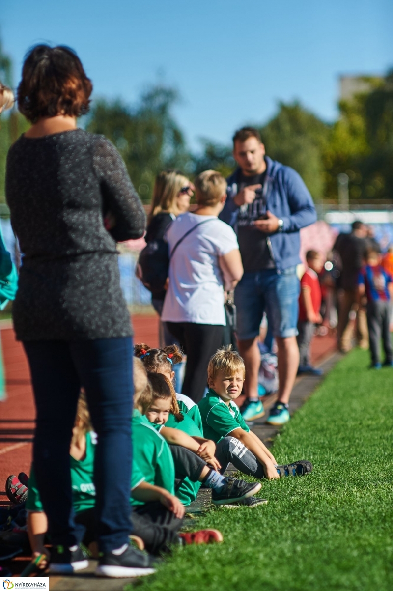 Ovifoci a stadionban - fotó Szarka Lajos