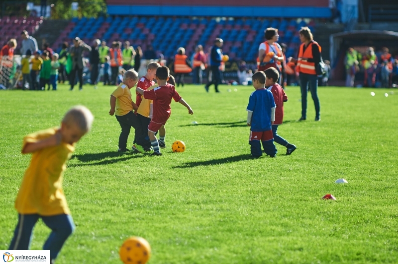 Ovifoci a stadionban - fotó Szarka Lajos
