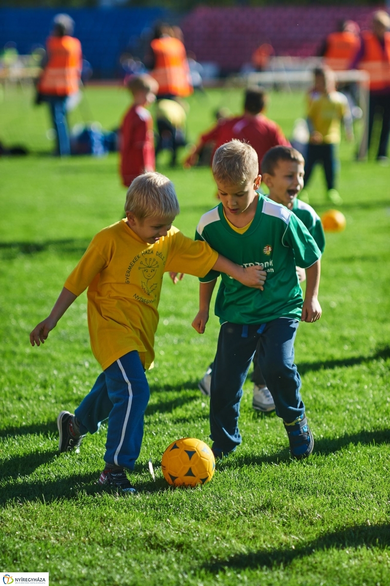 Ovifoci a stadionban - fotó Szarka Lajos
