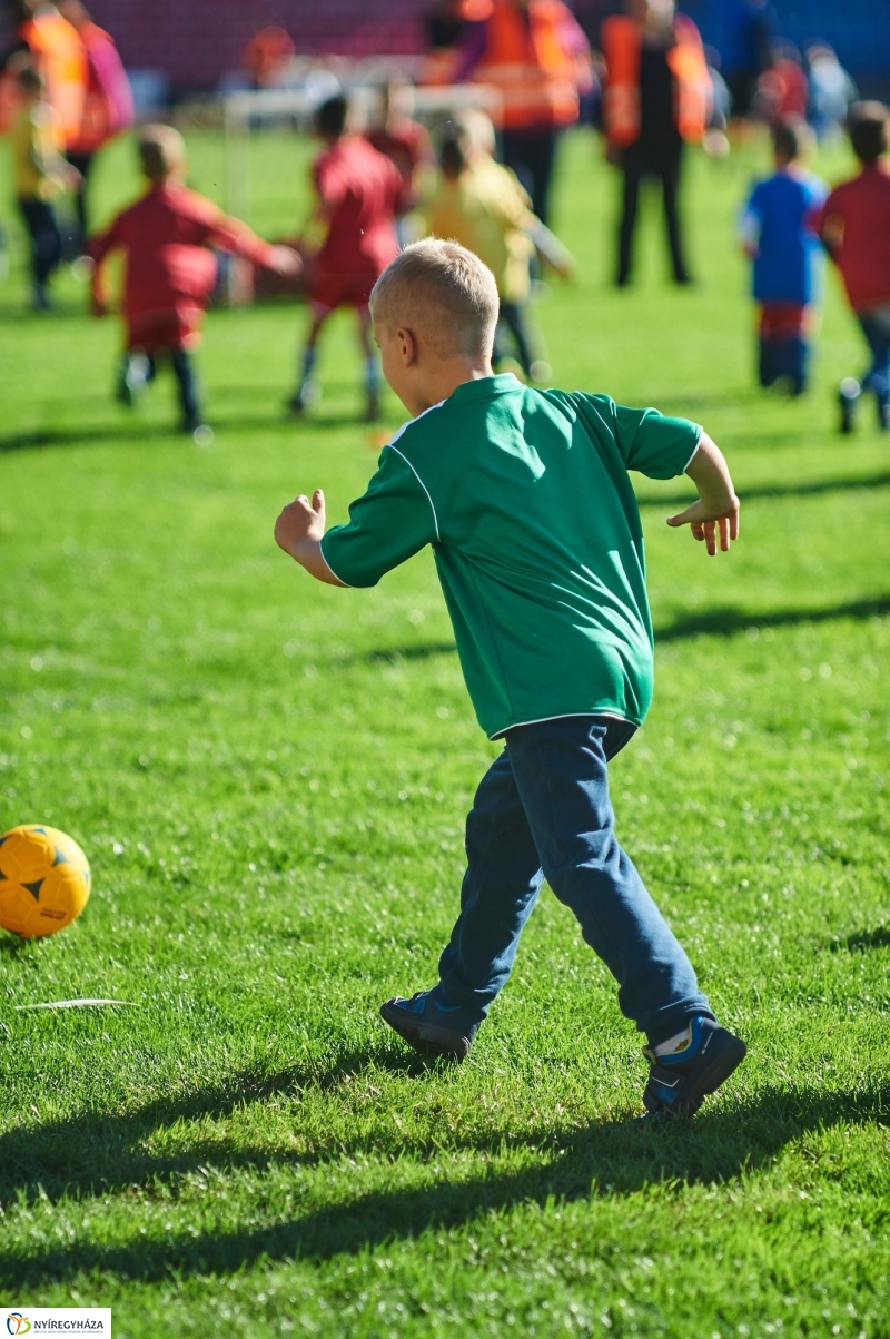 Ovifoci a stadionban - fotó Szarka Lajos