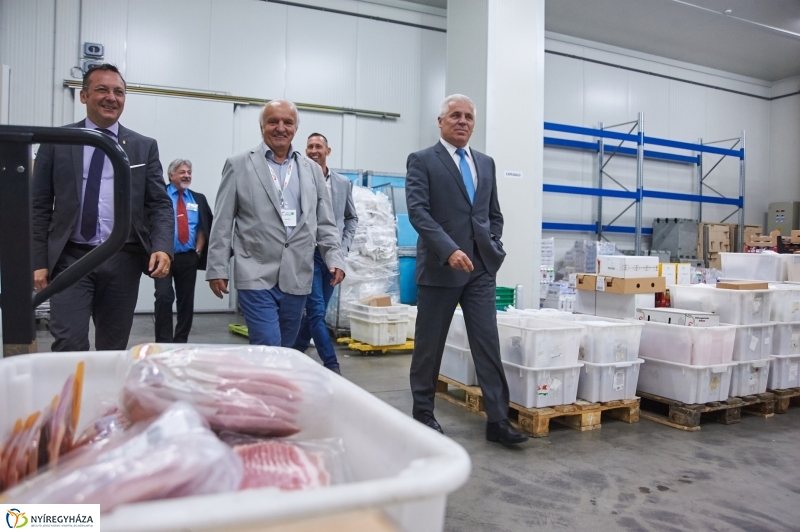 Coop Rally 2017 - fotó Szarka Lajos