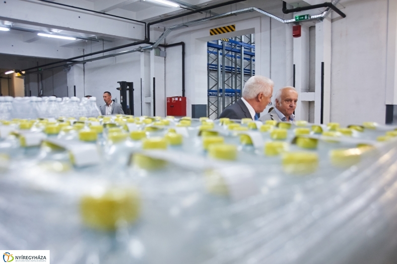 Coop Rally 2017 - fotó Szarka Lajos