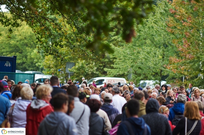 ÉFOÉSZ nap az Állatparkban - fotó Szarka Lajos