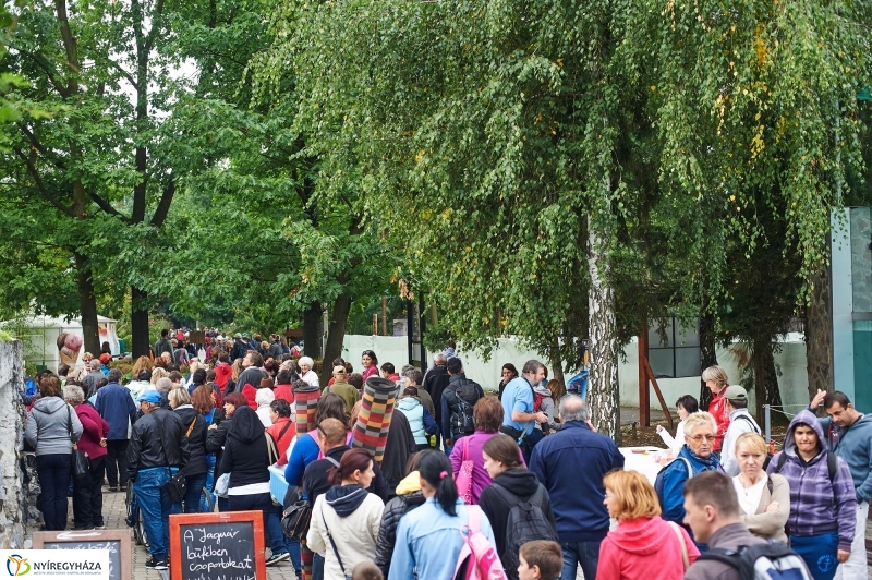 ÉFOÉSZ nap az Állatparkban - fotó Szarka Lajos