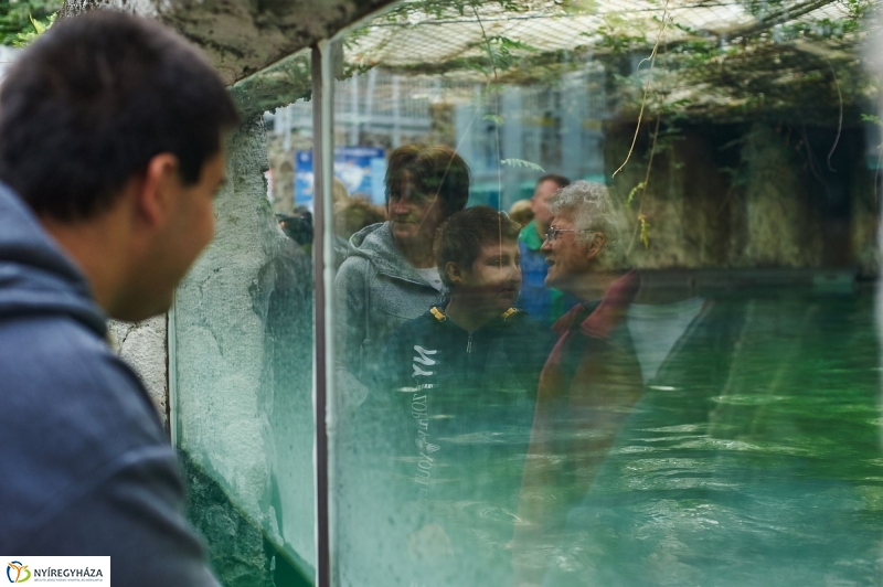 ÉFOÉSZ nap az Állatparkban - fotó Szarka Lajos