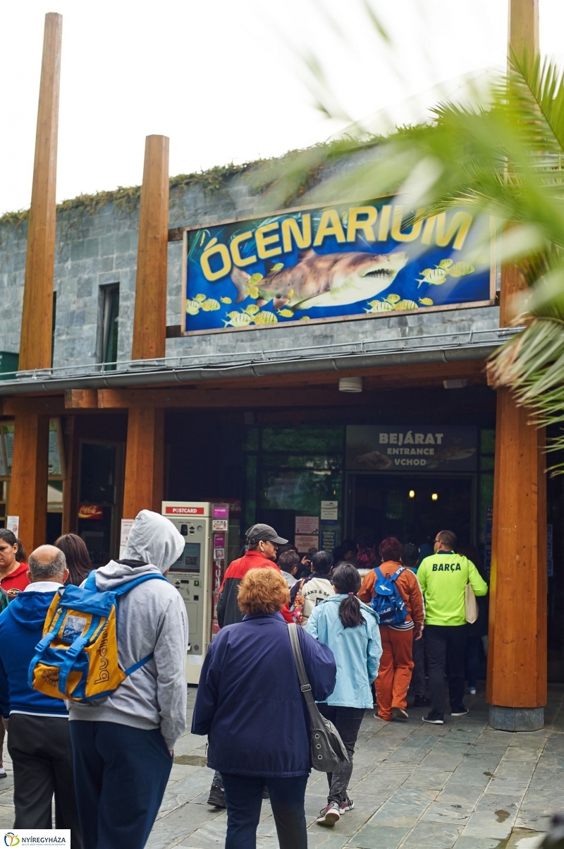 ÉFOÉSZ nap az Állatparkban - fotó Szarka Lajos