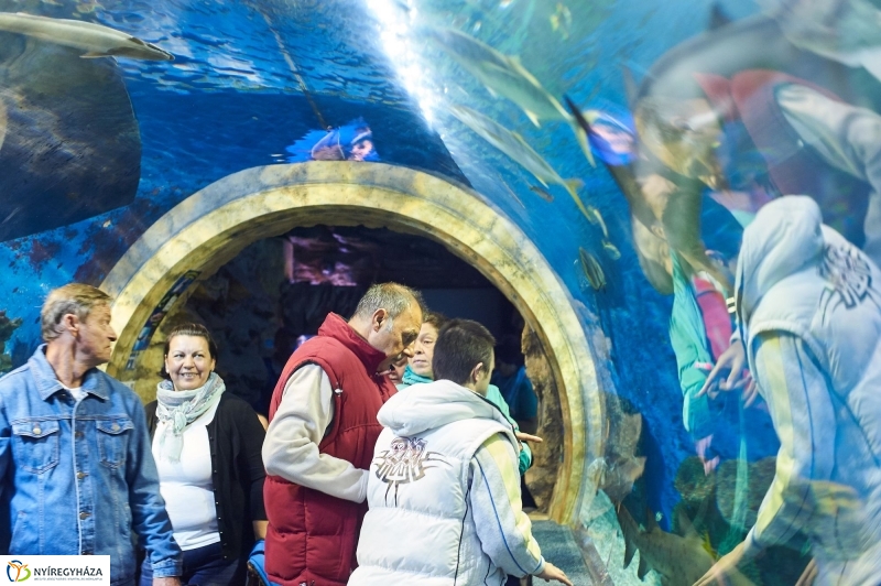 ÉFOÉSZ nap az Állatparkban - fotó Szarka Lajos