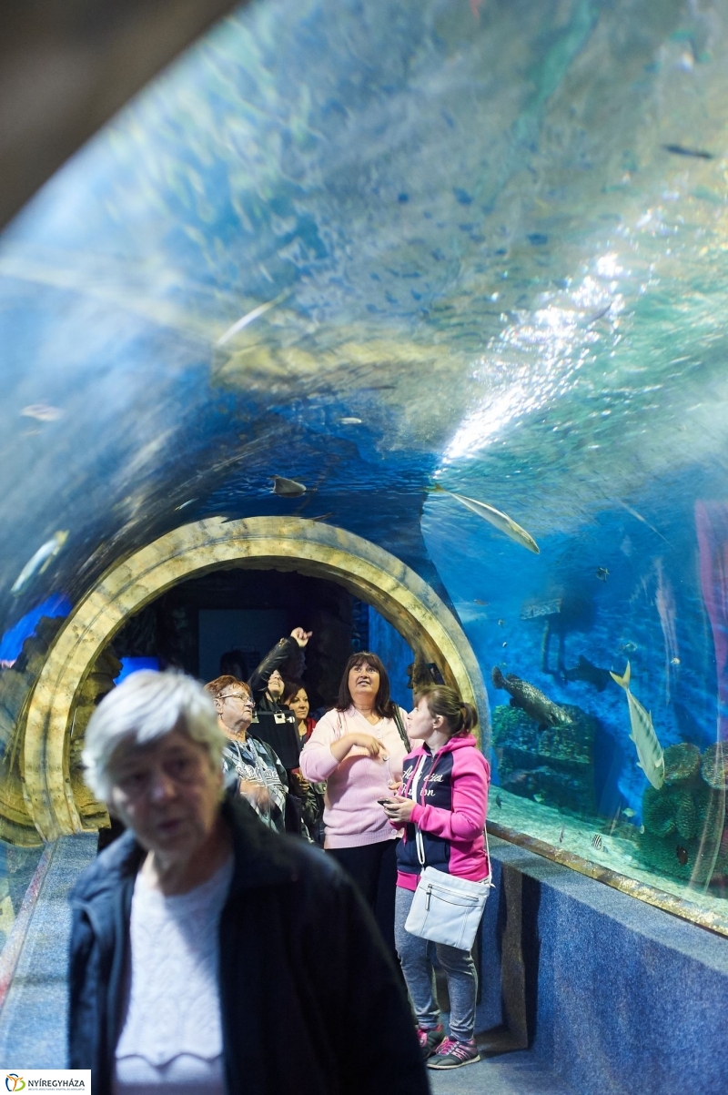 ÉFOÉSZ nap az Állatparkban - fotó Szarka Lajos