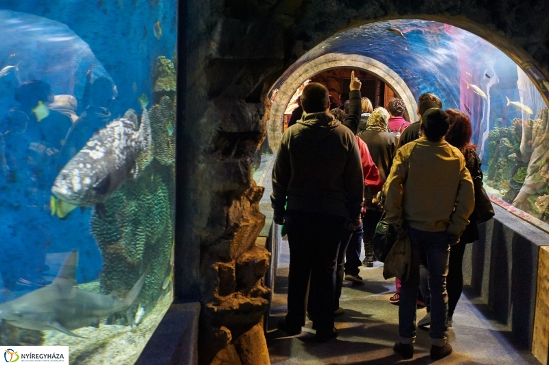 ÉFOÉSZ nap az Állatparkban - fotó Szarka Lajos