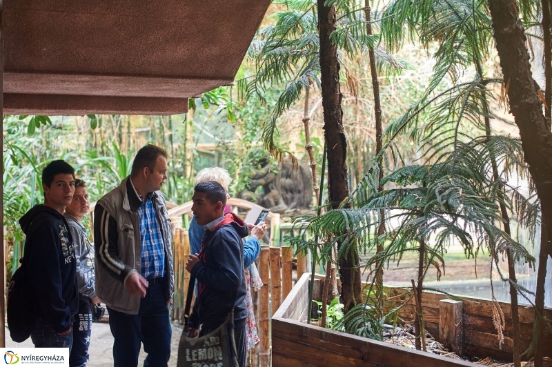 ÉFOÉSZ nap az Állatparkban - fotó Szarka Lajos