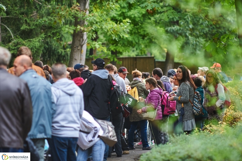 ÉFOÉSZ nap az Állatparkban - fotó Szarka Lajos