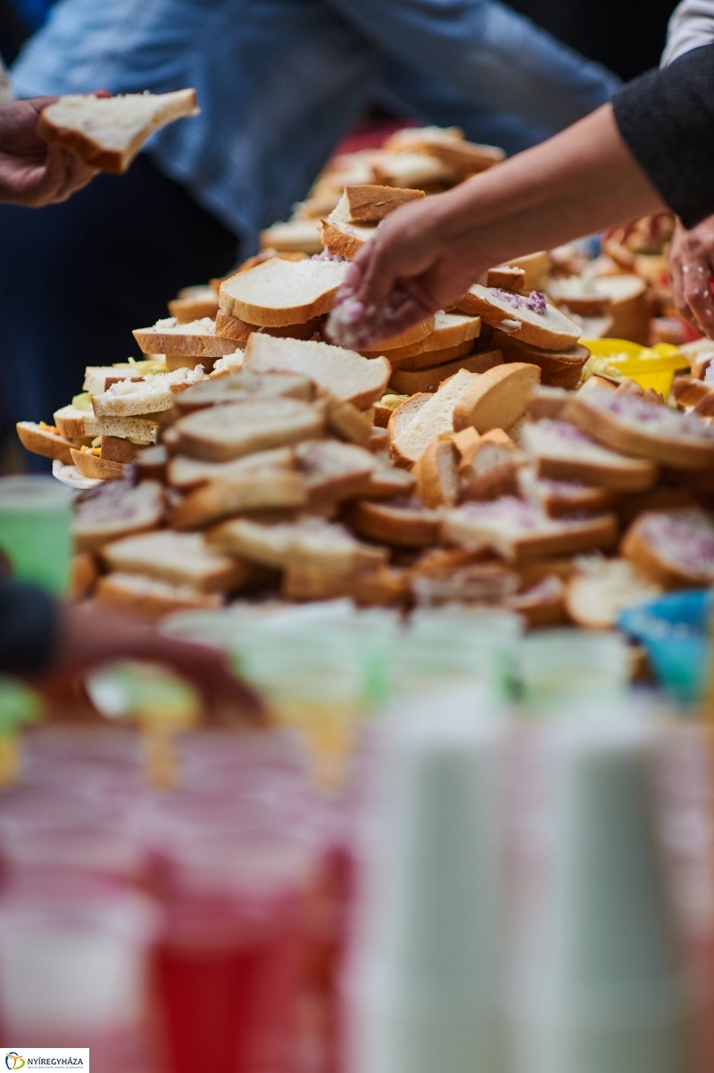 ÉFOÉSZ nap az Állatparkban - fotó Szarka Lajos