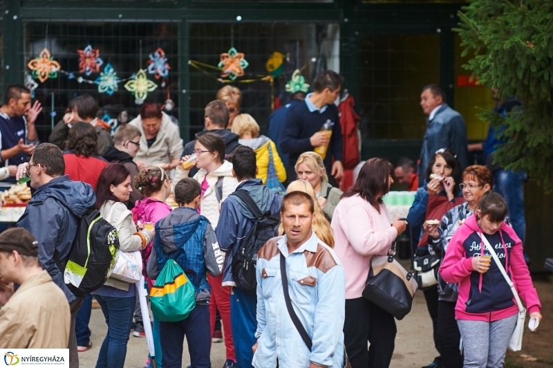 ÉFOÉSZ nap az Állatparkban - fotó Szarka Lajos