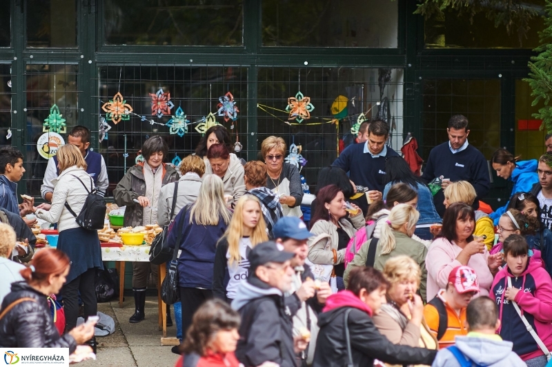 ÉFOÉSZ nap az Állatparkban - fotó Szarka Lajos