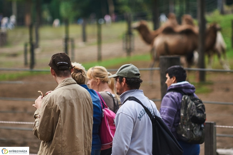 ÉFOÉSZ nap az Állatparkban - fotó Szarka Lajos