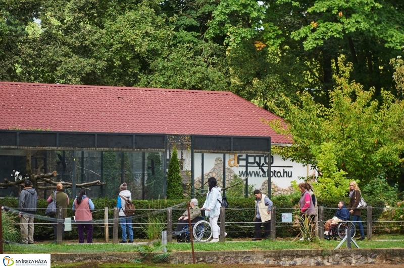 ÉFOÉSZ nap az Állatparkban - fotó Szarka Lajos