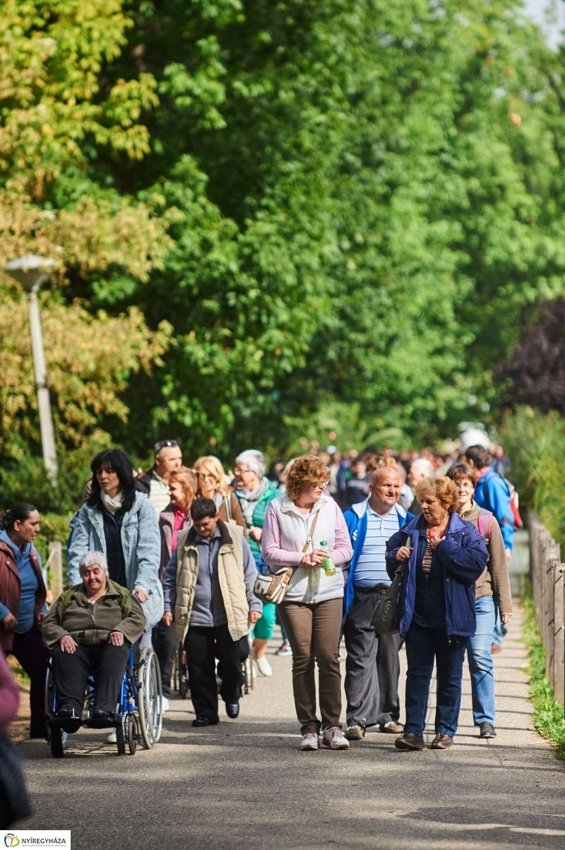 ÉFOÉSZ nap az Állatparkban - fotó Szarka Lajos