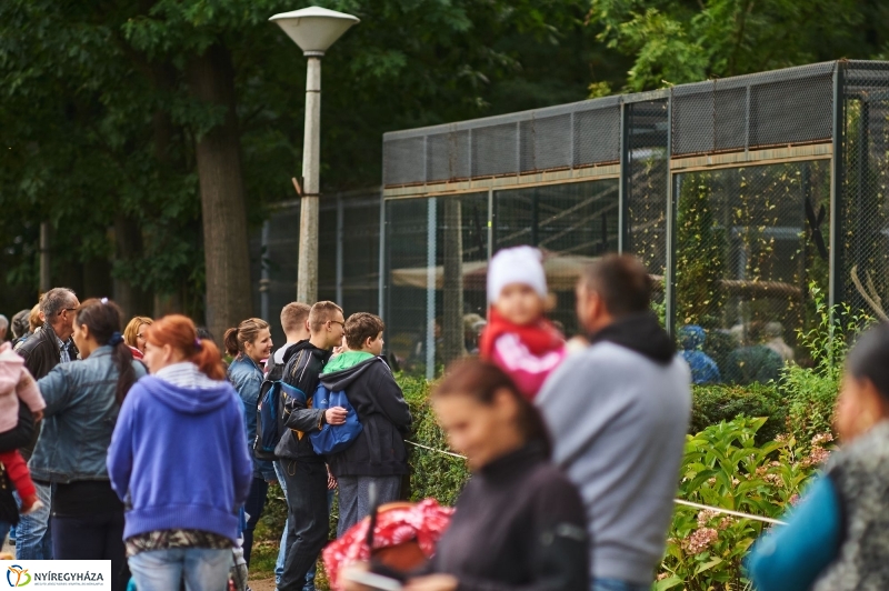 ÉFOÉSZ nap az Állatparkban - fotó Szarka Lajos