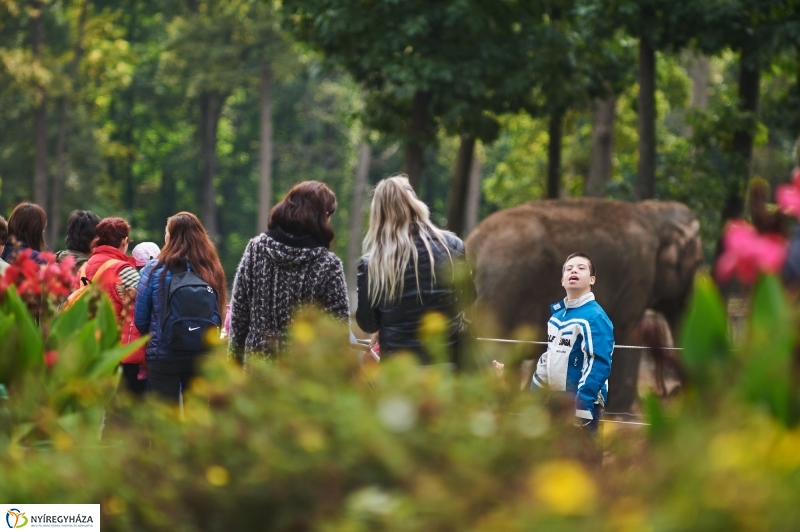 ÉFOÉSZ nap az Állatparkban - fotó Szarka Lajos