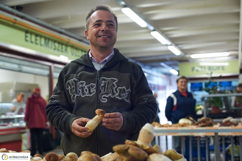 Gombaszezon a piaccsarnokban - fotó Szarka Lajos