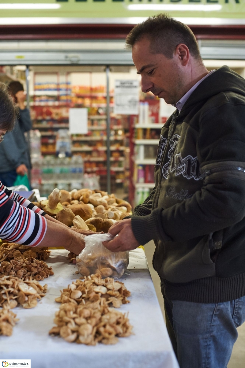 Gombaszezon a piaccsarnokban - fotó Szarka Lajos