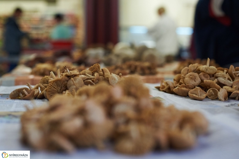 Gombaszezon a piaccsarnokban - fotó Szarka Lajos