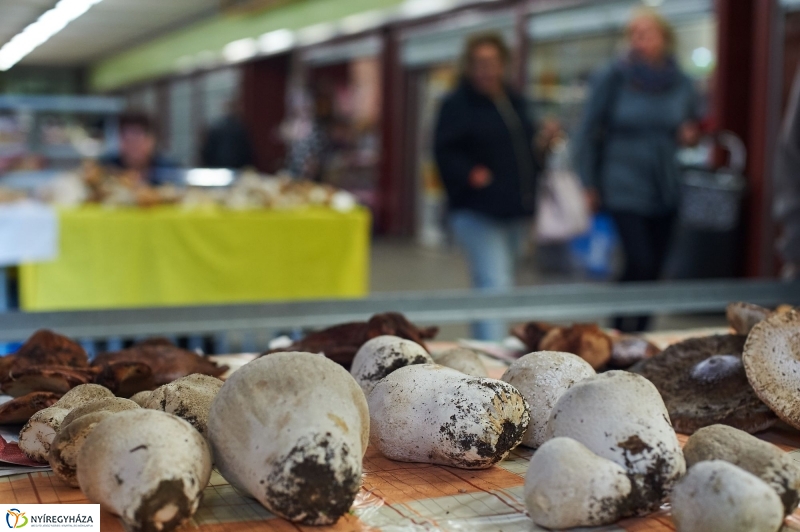 Gombaszezon a piaccsarnokban - fotó Szarka Lajos