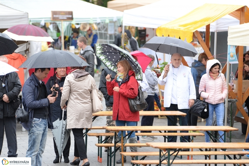 Esős kezdet a Tirpák Fesztiválon-fotó Trifonov Éva