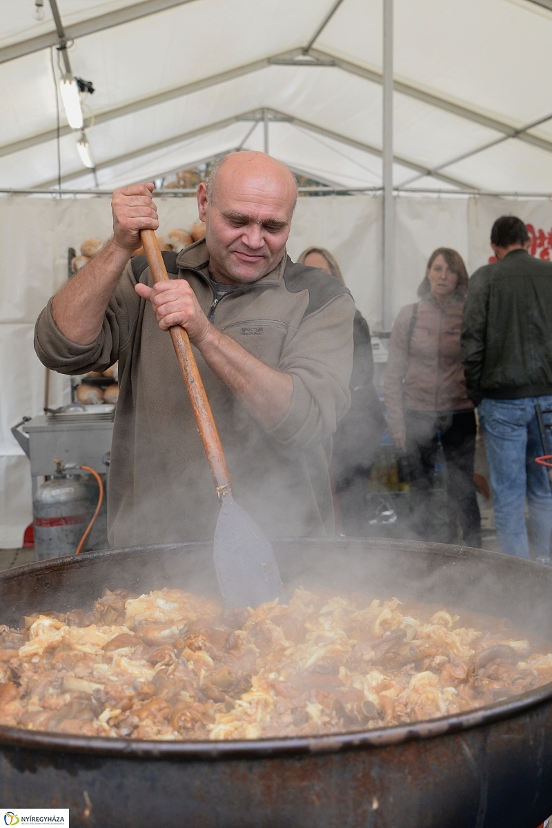 Esős kezdet a Tirpák Fesztiválon-fotó Trifonov Éva