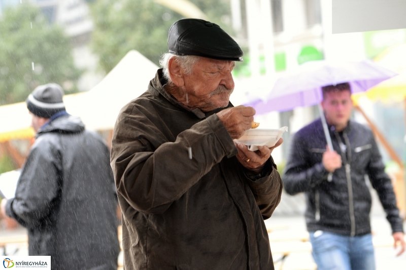 Az eső nem zavarta a Tirpák Fesztiválra kilátogatókat-fotó Trifonov Éva