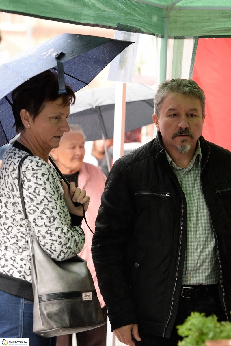 Az eső nem zavarta a Tirpák Fesztiválra kilátogatókat-fotó Trifonov Éva