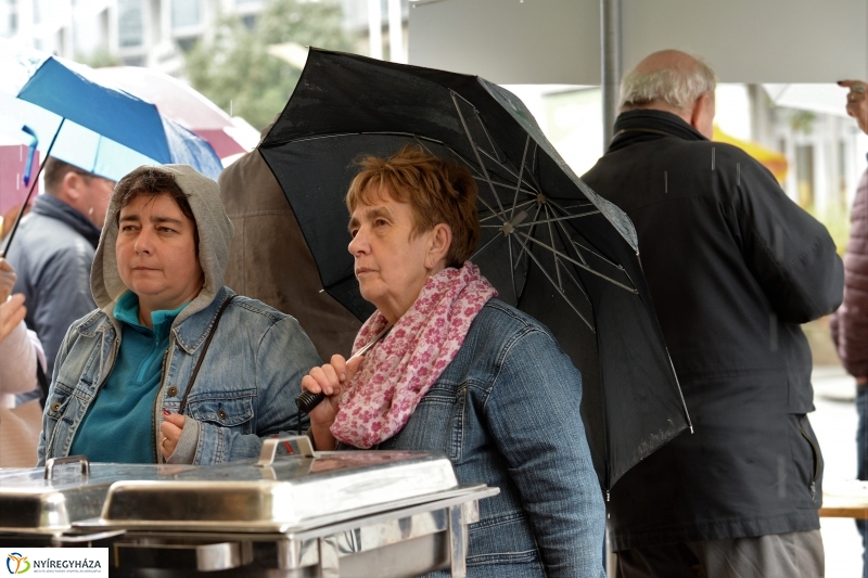 Az eső nem zavarta a Tirpák Fesztiválra kilátogatókat-fotó Trifonov Éva