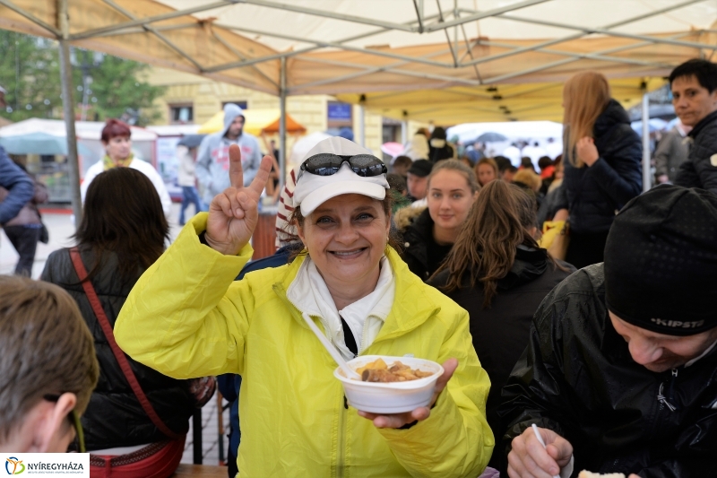 Az eső nem zavarta a Tirpák Fesztiválra kilátogatókat-fotó Trifonov Éva