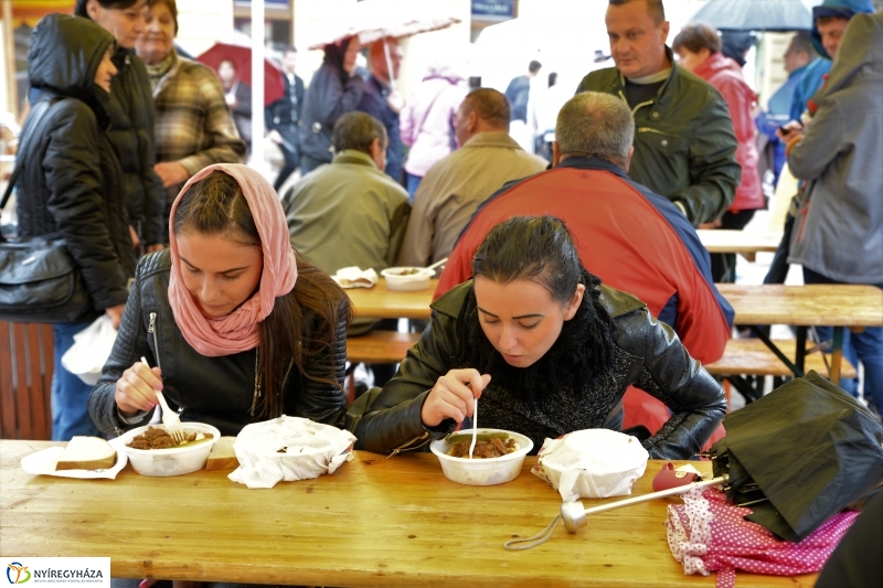 Az eső nem zavarta a Tirpák Fesztiválra kilátogatókat-fotó Trifonov Éva