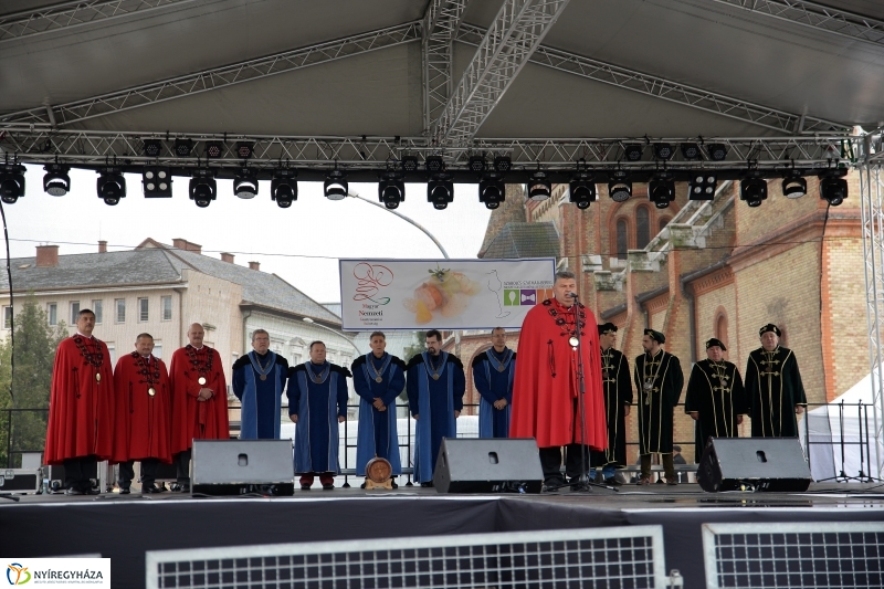 Grillbajnokság, Szív Világnapja a Tirpák Fesztiválon - fotó Trifonov Éva