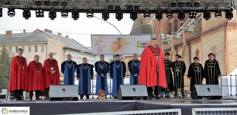 Grillbajnokság, Szív Világnapja a Tirpák Fesztiválon - fotó Trifonov Éva