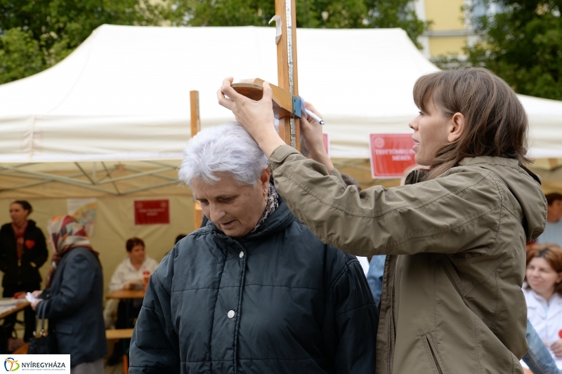 Grillbajnokság, Szív Világnapja a Tirpák Fesztiválon - fotó Trifonov Éva